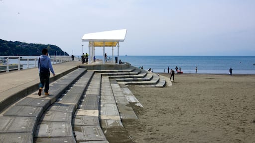 Zushi