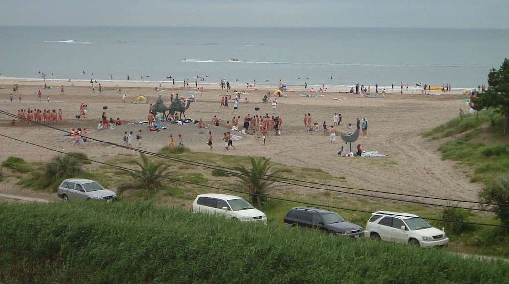 Onjuku Beach. The Camel and moon statues are visible.