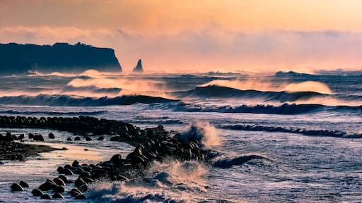 Japan surf , surfing in Japan is a very popular thing to do especially in Katsuura which is located in Chiba close to Tokyo the waves are large and nice to look at.
