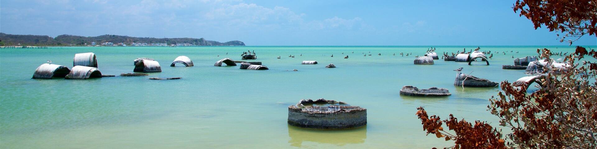 Siho Playa featuring tropical scenes and general coastal views