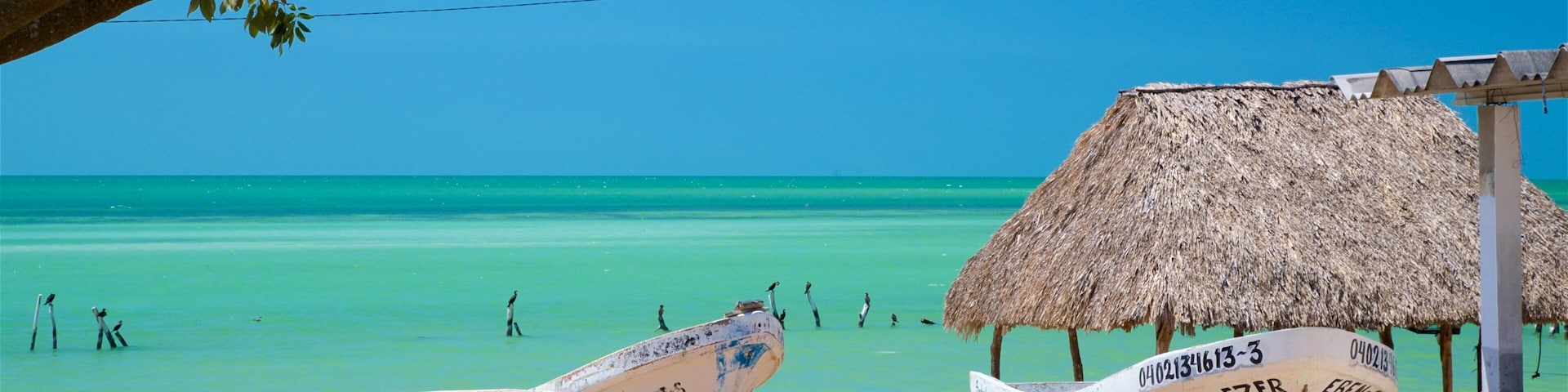 Siho Playa featuring a sandy beach, general coastal views and tropical scenes