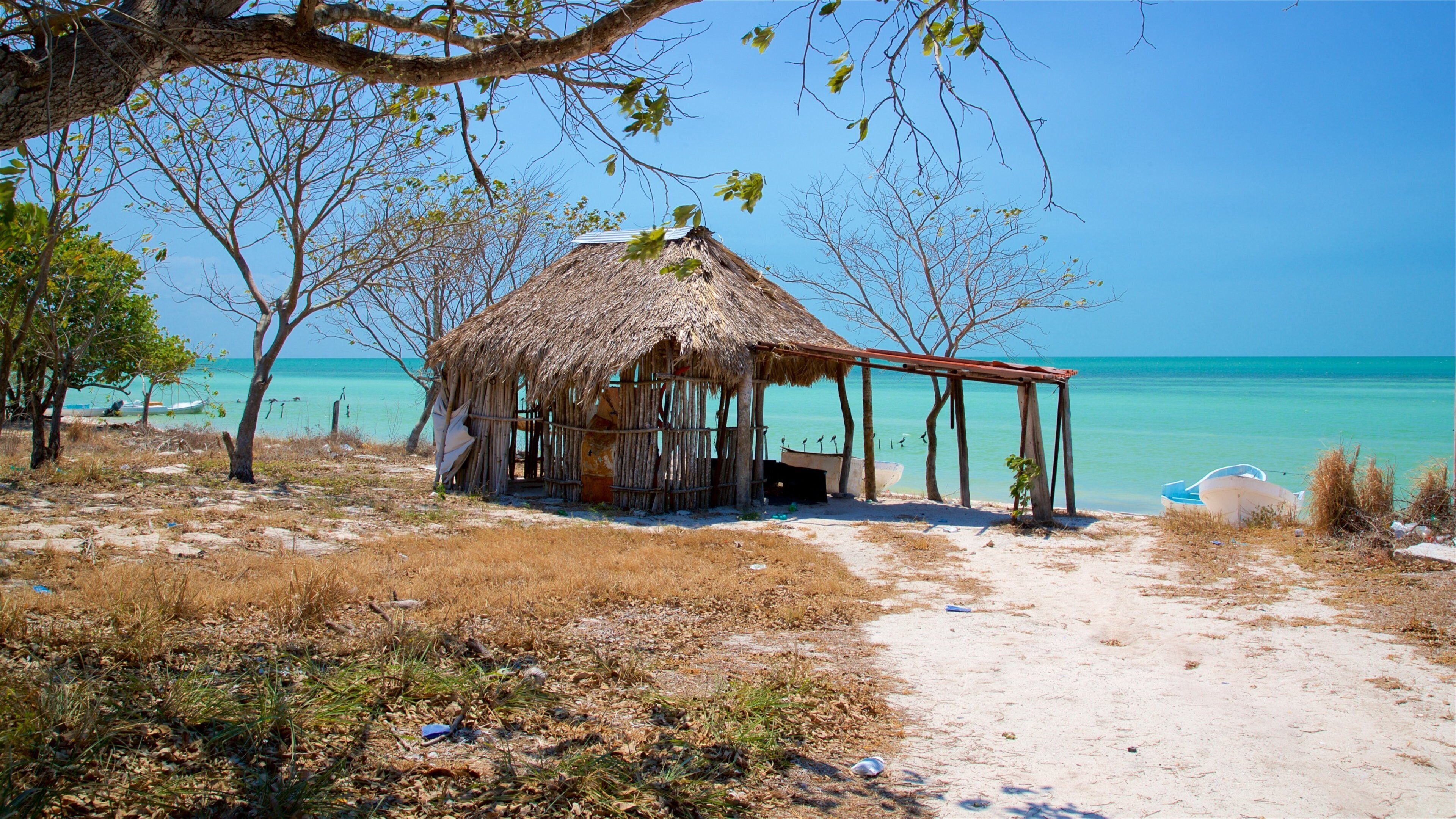 시오 플라야 을 특징 일반 해안 전경, 아열대 풍경 과 모래 해변