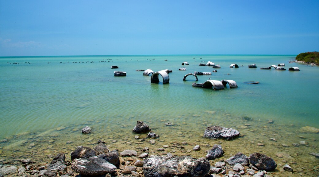Siho Playa which includes general coastal views