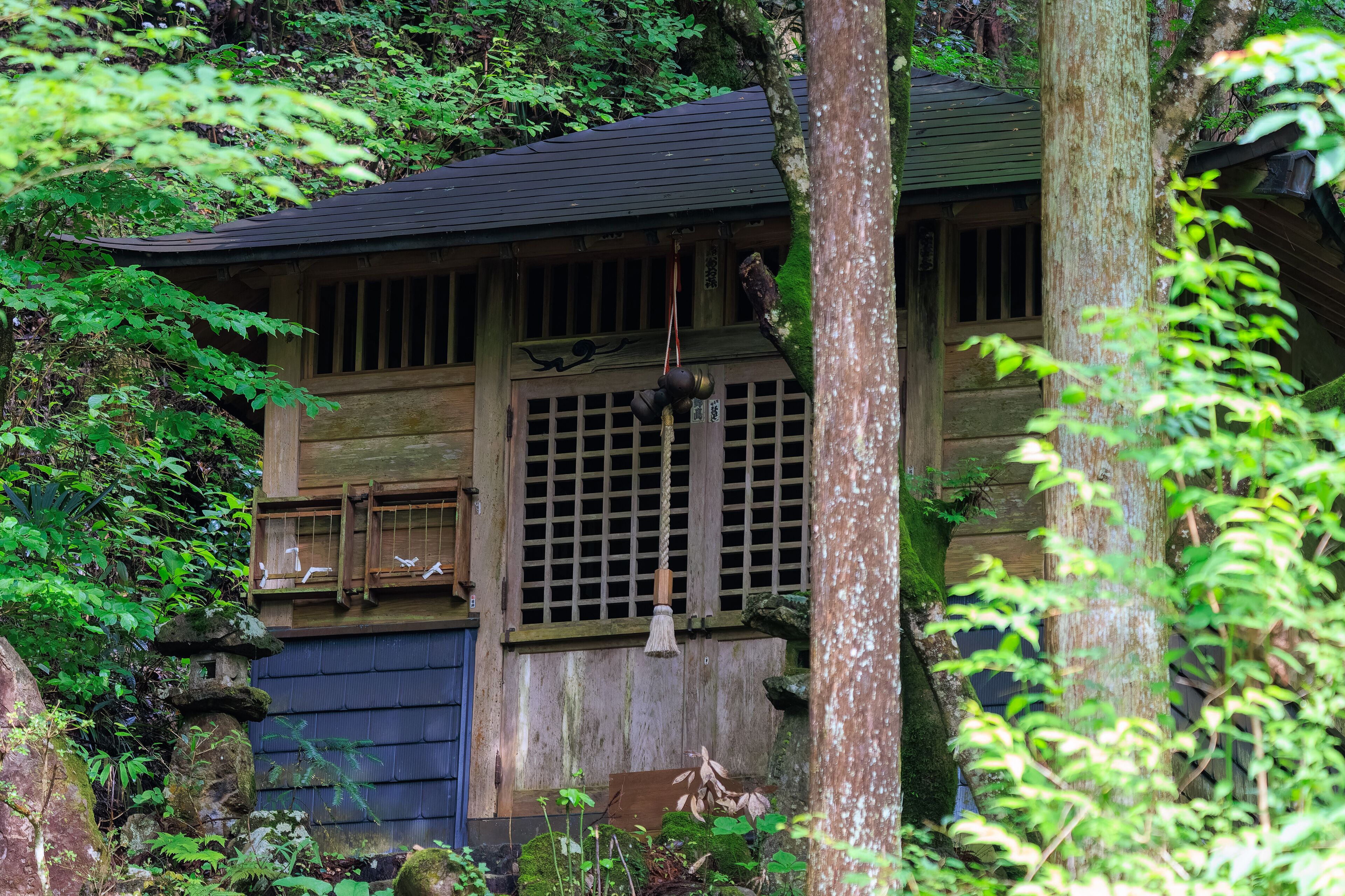 登山道の入口を守る、古い神社。

日本国東京都あきる野市、日の出山登山道他。
2024年6月撮影。

An old shrine that protects the entrance to the trail.

Mt. Hinode-yama Trail road, Akiruno City, Tokyo, Japan. - Jun 2024.
