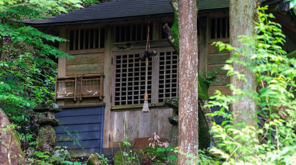登山道の入口を守る、古い神社。
日本国東京都あきる野市、日の出山登山道他。
2024年6月撮影。
An old shrine that protects the entrance to the trail.
Mt. Hinode-yama Trail road, Akiruno City, Tokyo, Japan. - Jun 2024.