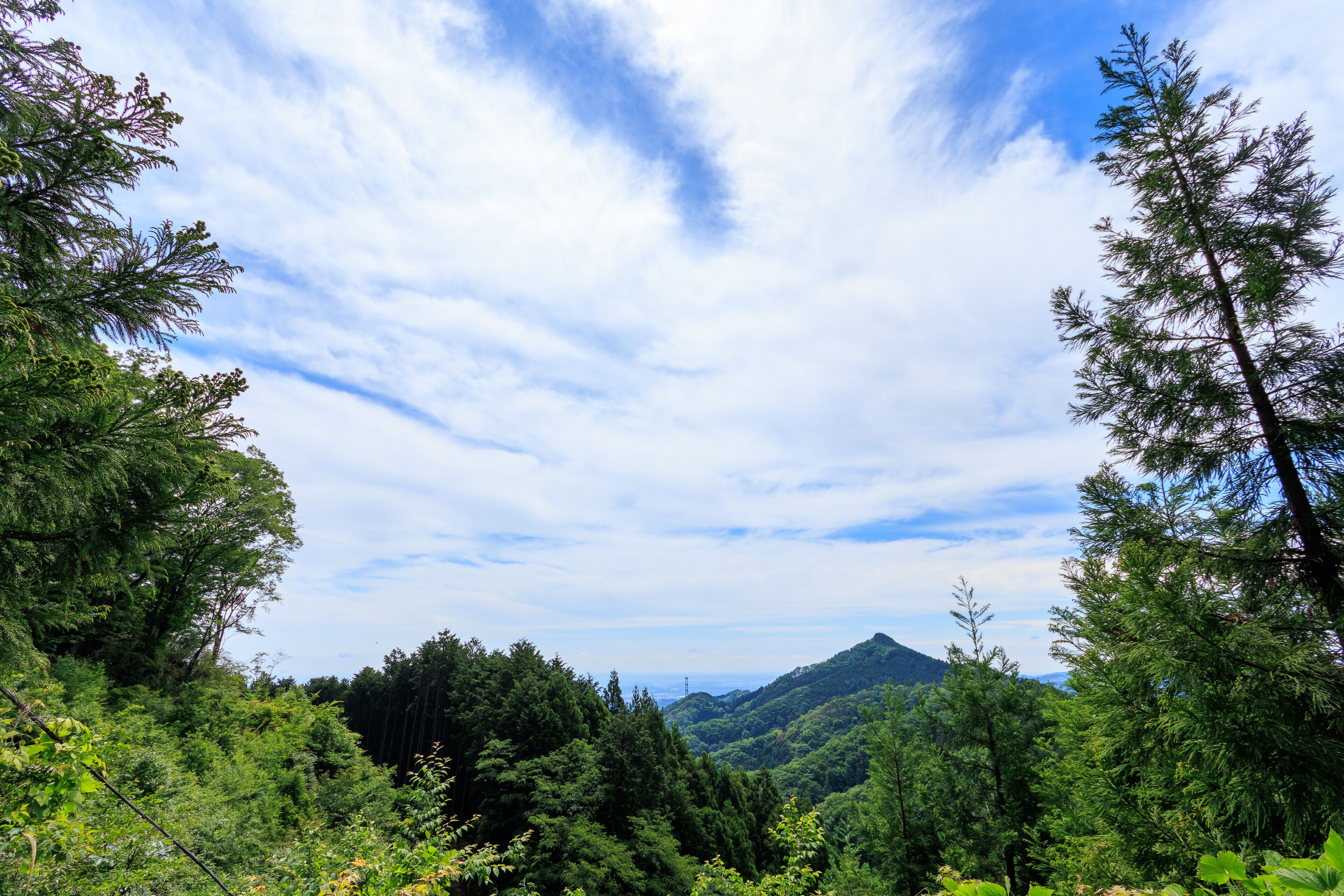 山頂から見る関東平野。

日本国東京都あきる野市、日の出山登山道他。
2024年6月撮影。

Kanto Plain seen from the summit.

Mt. Hinode-yama Trail road, Akiruno City, Tokyo, Japan. - June 2024.
