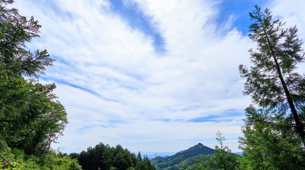 山頂から見る関東平野。
日本国東京都あきる野市、日の出山登山道他。
2024年6月撮影。
Kanto Plain seen from the summit.
Mt. Hinode-yama Trail road, Akiruno City, Tokyo, Japan. - June 2024.