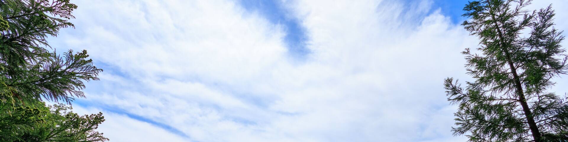 山頂から見る関東平野。
日本国東京都あきる野市、日の出山登山道他。
2024年6月撮影。
Kanto Plain seen from the summit.
Mt. Hinode-yama Trail road, Akiruno City, Tokyo, Japan. - June 2024.