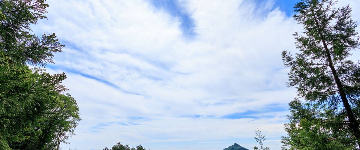 A mountainous landscape with dense forest and a clear sky.