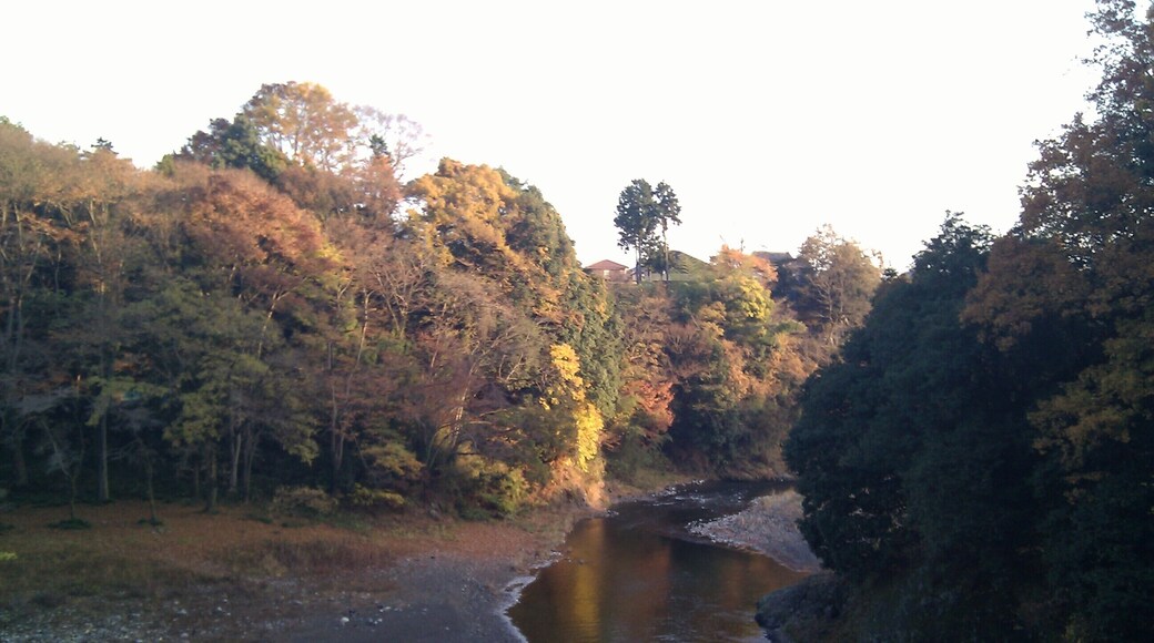 秋川。あきる野市高尾の市道付近より下流・北北東の方向を見る。地図はこちら。