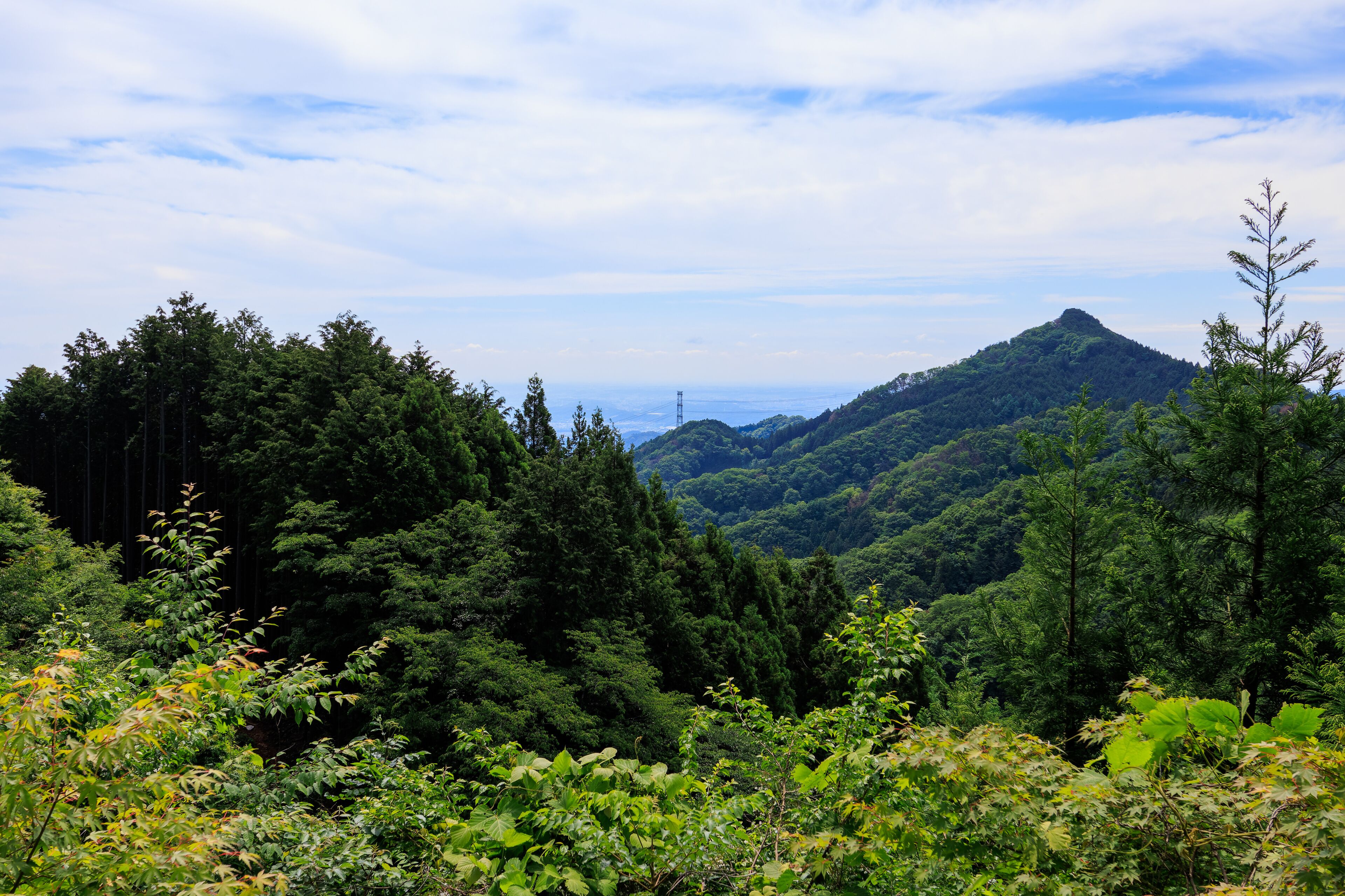 山頂から見る関東平野。

日本国東京都あきる野市、日の出山登山道他。
2024年6月撮影。

Kanto Plain seen from the summit.

Mt. Hinode-yama Trail road, Akiruno City, Tokyo, Japan. - June 2024.
