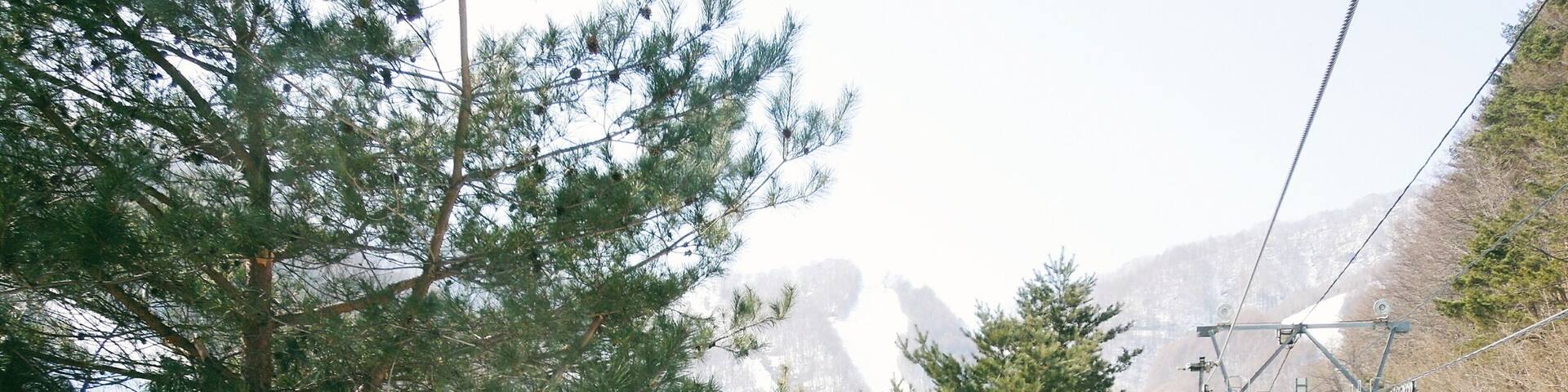 One of the nine lifts that take you up the mountain to various courses.
This year has been one of the warmest winters we've had in Japan, thus the lack of snow. But thankfully most of the courses had new snowfall a few days before we went.
Location: Gunma prefecture
Best to come by car, it's a 2-3 hr drive from Tokyo. (Parking on weekends are free if you have more than 4 people in the car!)
Or you can come by shinkansen, closest station is Numata Station on the JR Joetsu Shinkansen Line, then another 50min by bus.