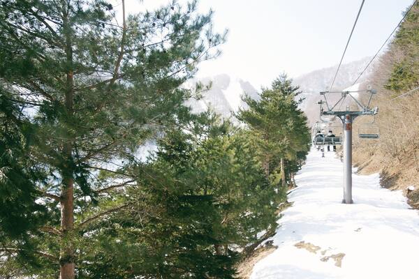 One of the nine lifts that take you up the mountain to various courses.
This year has been one of the warmest winters we've had in Japan, thus the lack of snow. But thankfully most of the courses had new snowfall a few days before we went.
Location: Gunma prefecture
Best to come by car, it's a 2-3 hr drive from Tokyo. (Parking on weekends are free if you have more than 4 people in the car!)
Or you can come by shinkansen, closest station is Numata Station on the JR Joetsu Shinkansen Line, then another 50min by bus.