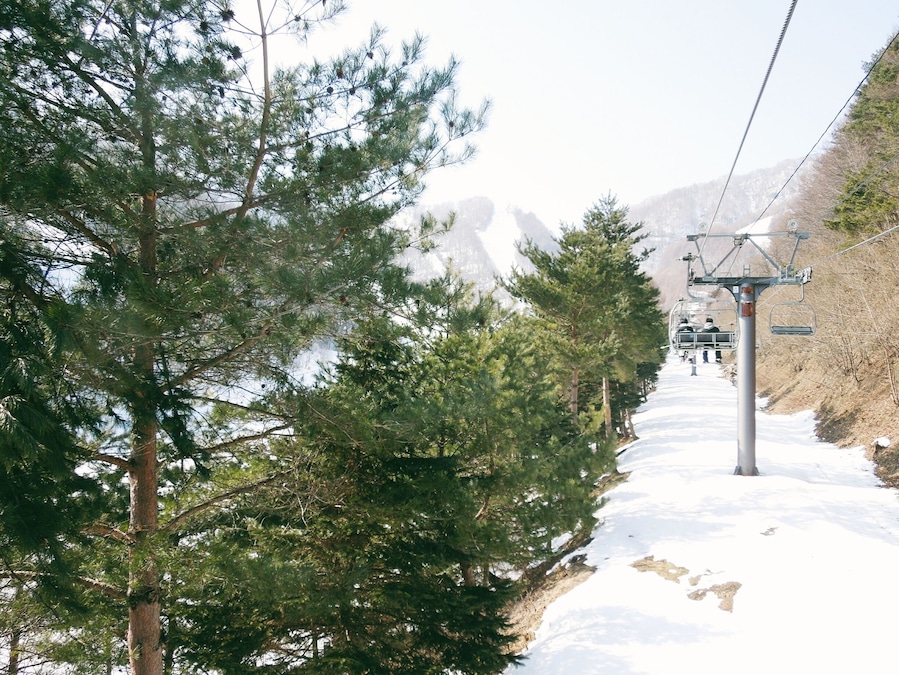 One of the nine lifts that take you up the mountain to various courses.
This year has been one of the warmest winters we've had in Japan, thus the lack of snow. But thankfully most of the courses had new snowfall a few days before we went.
Location: Gunma prefecture
Best to come by car, it's a 2-3 hr drive from Tokyo. (Parking on weekends are free if you have more than 4 people in the car!)
Or you can come by shinkansen, closest station is Numata Station on the JR Joetsu Shinkansen Line, then another 50min by bus.