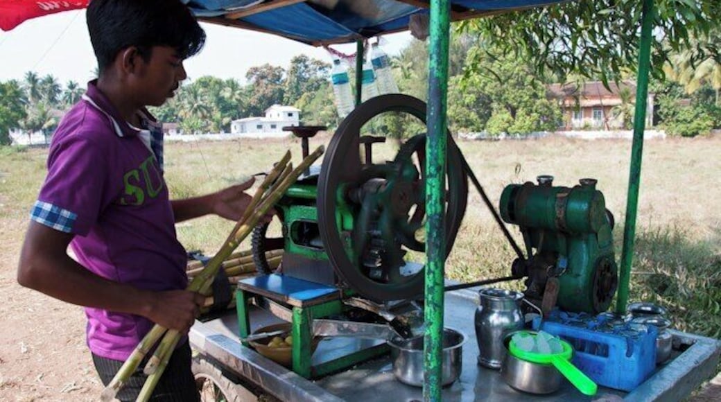 No #roadtrip in India is complete without a stop by the road side to indulge in freshly squeezed sugar cane juice! Have you tried it?! :)