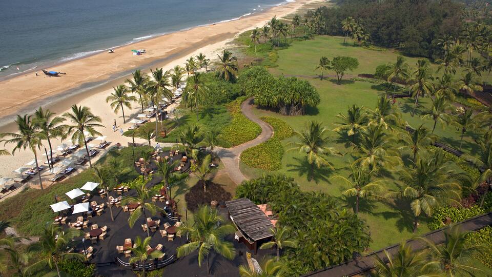 A beach resort with palm trees, lounge chairs, and a pathway leading to a building.