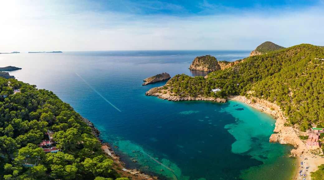 Aerial view of Cala Saladeta, Ibiza islands, Spain