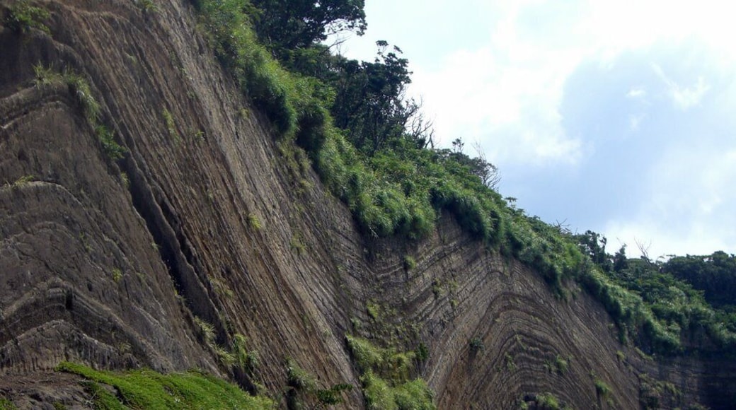 Volcanic ash-fall layers on Izu Oshima volcano in Japan. The volcanic ash was erupted into the air by the volcano. The ash then fell back onto ground. The ash was deposited during Pleistocene and Holocene times on an uneven ground surface. The ash layers are parallel to the curvature of the underlying ground surface. The folds are known as drape folds. The ash layers have not been folded after deposition..
