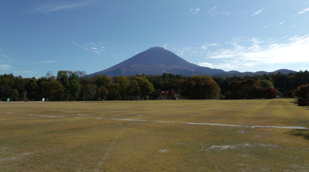 鳴沢より富士山を望む Views of Mount Fuji from Narusawa