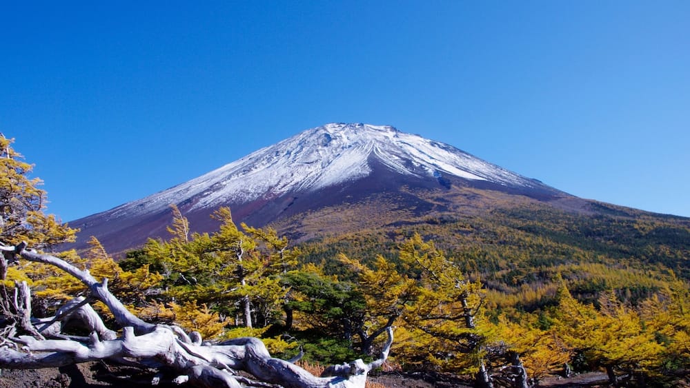 Mt. Fuji.
Seen from the 5th Station (Okuniwa Nature Park). #Mountains