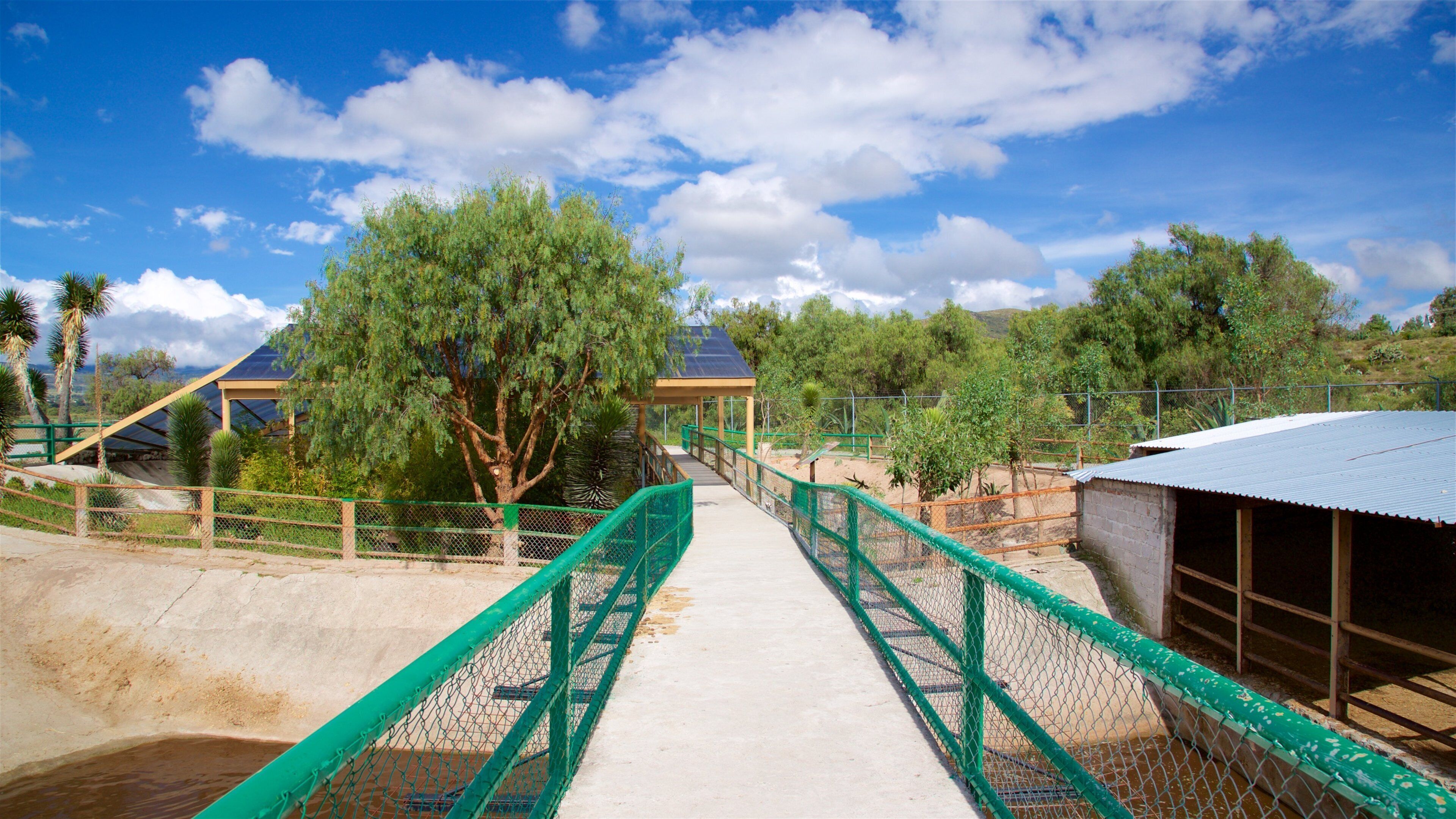 A bridge with a green metal railing leading to a building with a blue roof.