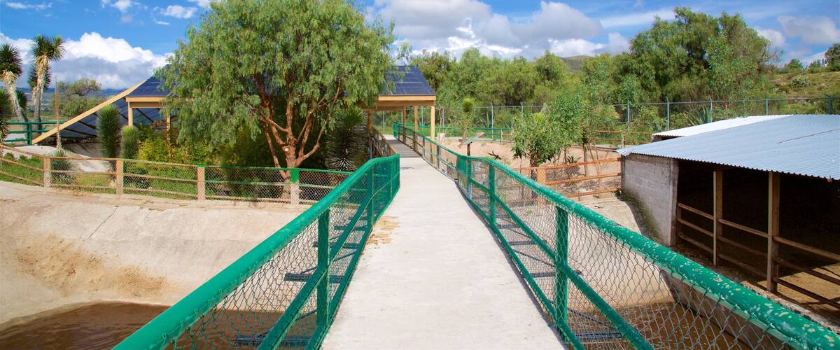 A bridge with a green metal railing leading to a building with a blue roof.