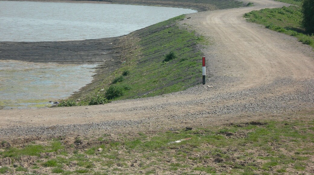 A Very Different Mucking Creek