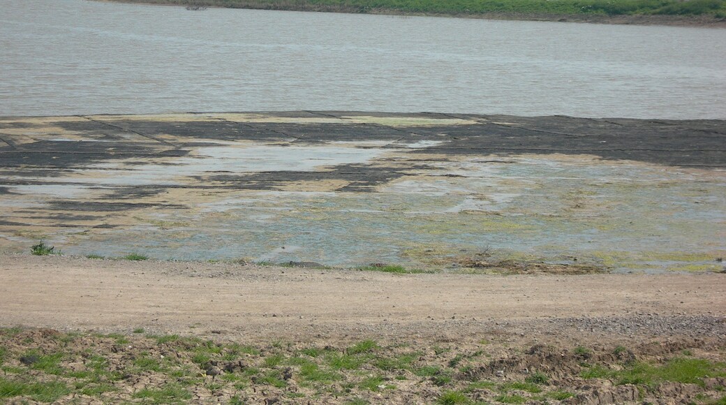 A Very Different Mucking Creek