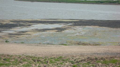 A Very Different Mucking Creek