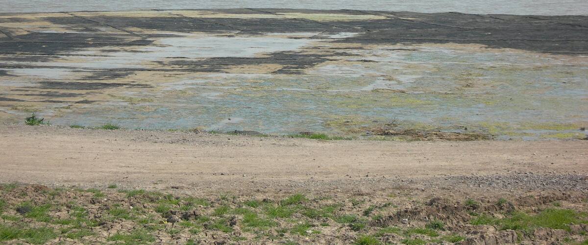A river with a small island and a distant shoreline.