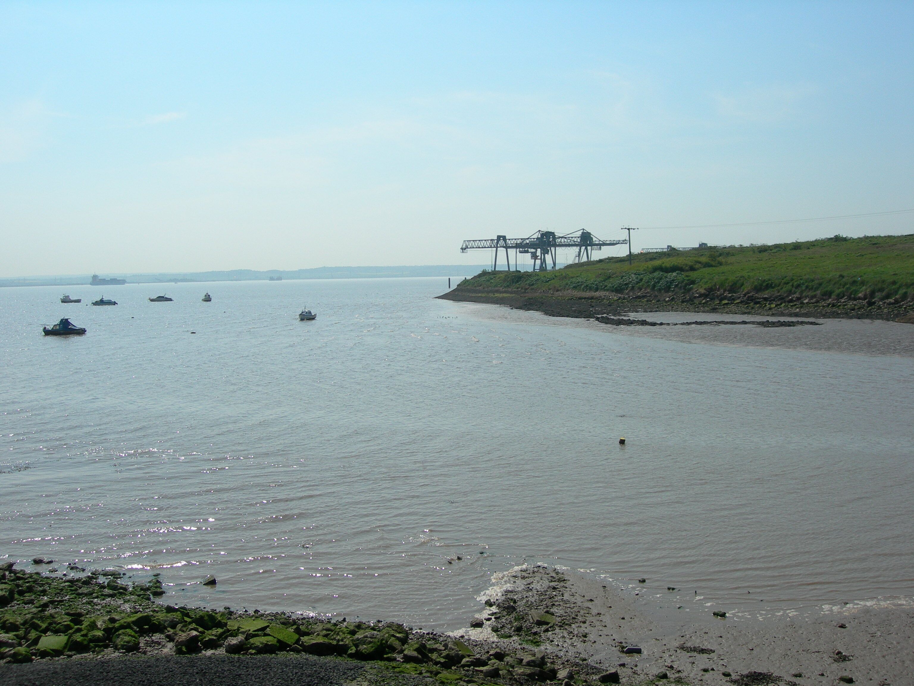 A Very Different Mucking Creek