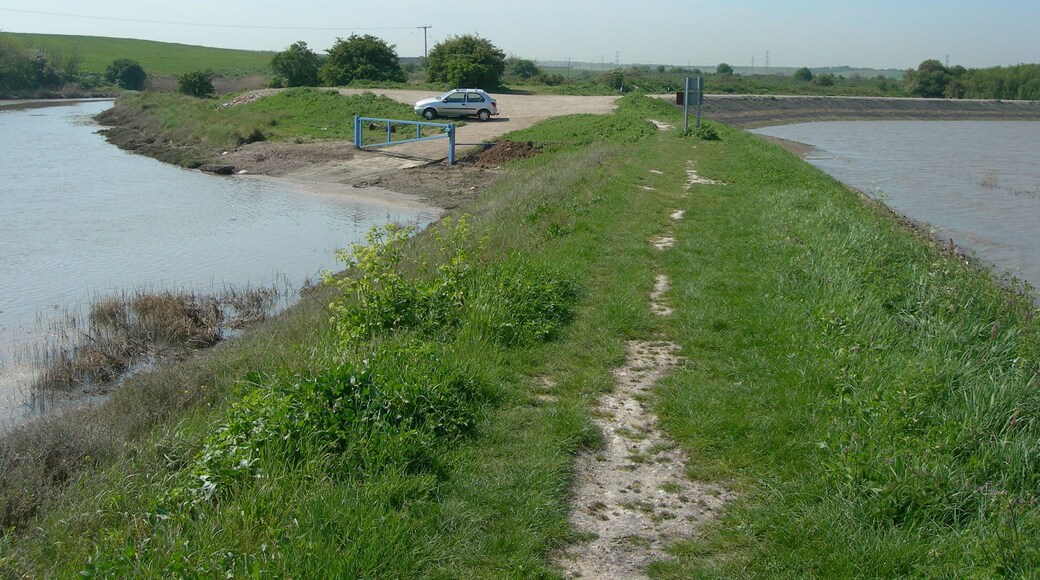 A Very Different Mucking Creek