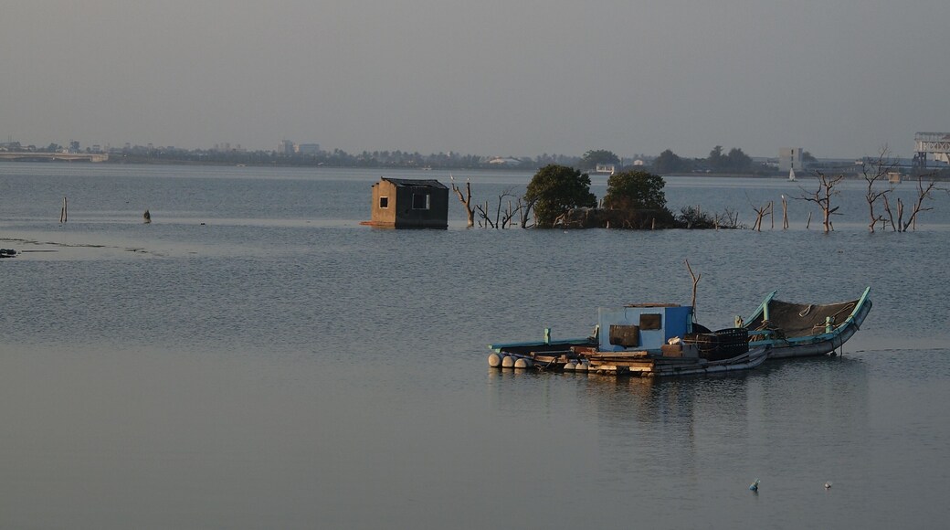大鹏湾 - Dapeng Bay - 2012.02