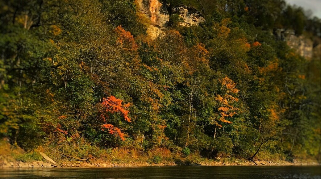 Dix River meanders it's way from the Kentucky River to Lake Herrington. Tall limestone cliffs stand just off the bank on both sides. I really don't think Kentucky gets enough love for it's scenery. I didn't know Kentucky had cliffs like this before moving here.