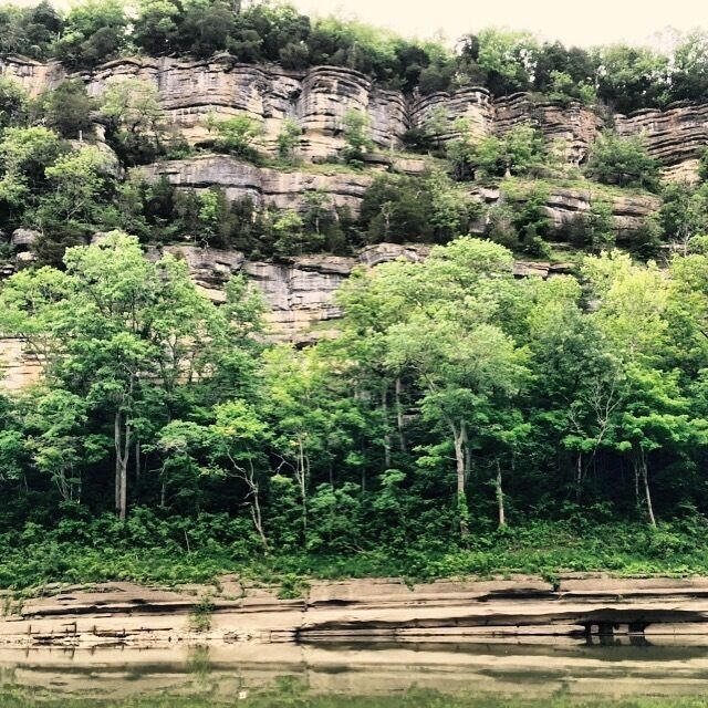 Halfway through a 3 km loop at Tom Dorman SNP you can take an offshoot down to the sandy banks and be rewarded with views from the belly of the Kentucky River Palisades. The exposed rock is beautiful and it's old. REALLY old. Half a billion years old. I'm still trying to let that number sink in. #paleozoicgeology

The walk was short, hilly, and slippery if you have knee problems begin the loop on the east side of the parking lot your joints will thank you once you make it to the stairs. 