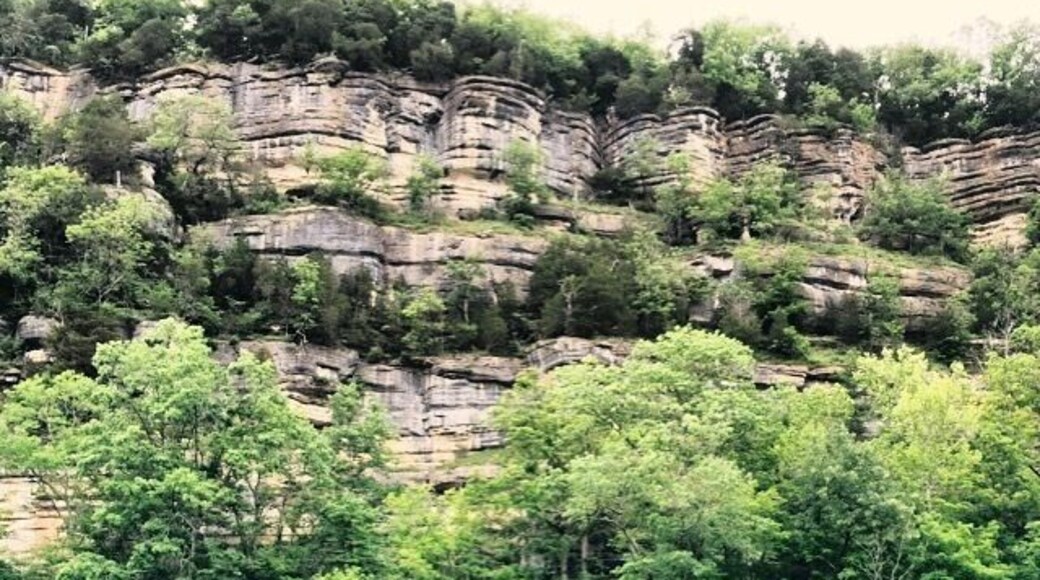 Halfway through a 3 km loop at Tom Dorman SNP you can take an offshoot down to the sandy banks and be rewarded with views from the belly of the Kentucky River Palisades. The exposed rock is beautiful and it's old. REALLY old. Half a billion years old. I'm still trying to let that number sink in. #paleozoicgeology
The walk was short, hilly, and slippery if you have knee problems begin the loop on the east side of the parking lot your joints will thank you once you make it to the stairs.
