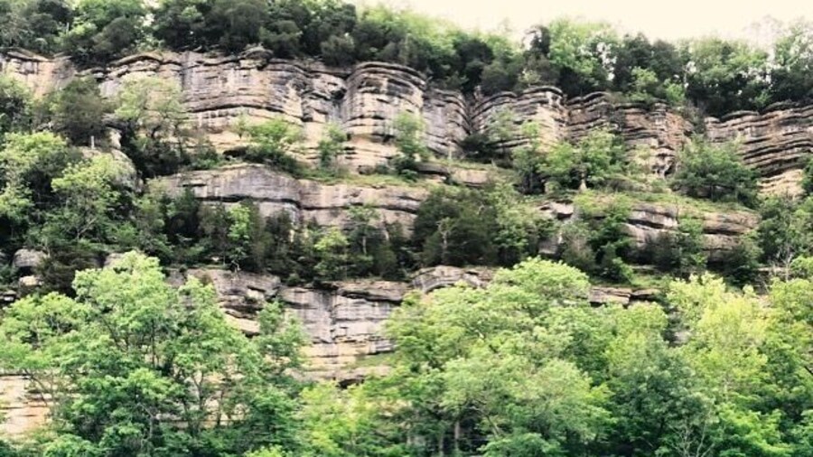 Halfway through a 3 km loop at Tom Dorman SNP you can take an offshoot down to the sandy banks and be rewarded with views from the belly of the Kentucky River Palisades. The exposed rock is beautiful and it's old. REALLY old. Half a billion years old. I'm still trying to let that number sink in. #paleozoicgeology
The walk was short, hilly, and slippery if you have knee problems begin the loop on the east side of the parking lot your joints will thank you once you make it to the stairs.