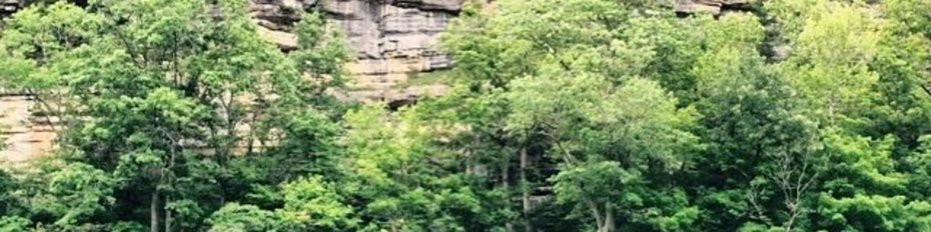 Halfway through a 3 km loop at Tom Dorman SNP you can take an offshoot down to the sandy banks and be rewarded with views from the belly of the Kentucky River Palisades. The exposed rock is beautiful and it's old. REALLY old. Half a billion years old. I'm still trying to let that number sink in. #paleozoicgeology
The walk was short, hilly, and slippery if you have knee problems begin the loop on the east side of the parking lot your joints will thank you once you make it to the stairs.
