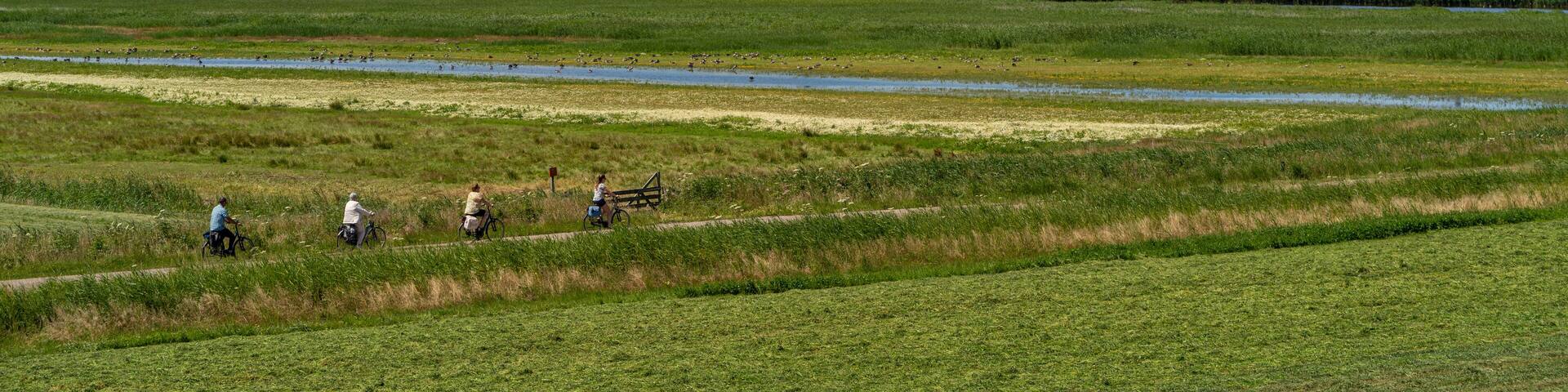 Wieringerwerf, Netherlands - juli 2020