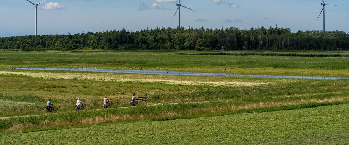 A landscape with wind turbines, a river, and people riding bicycles.