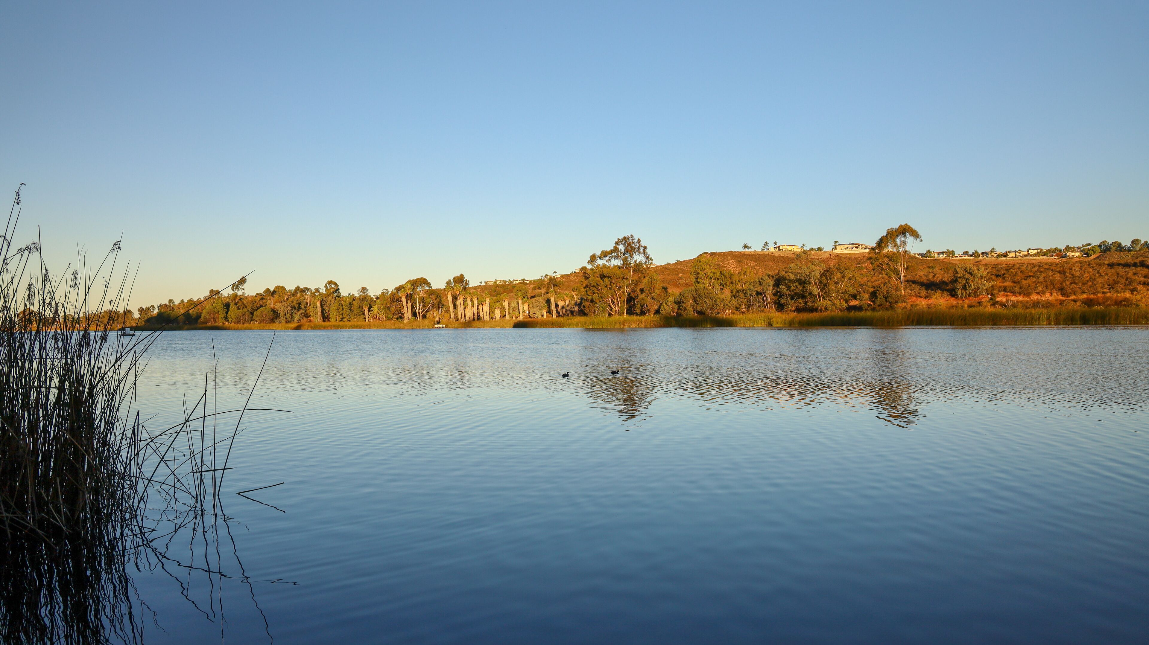 View of Lake Miramar at sunrise.