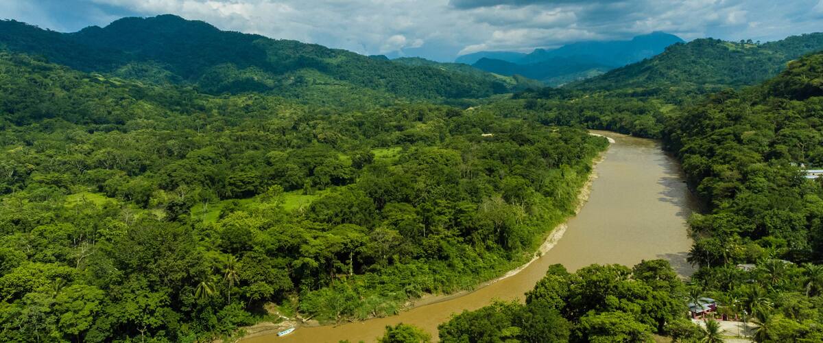A river winding through a dense forest with mountains in the background.
