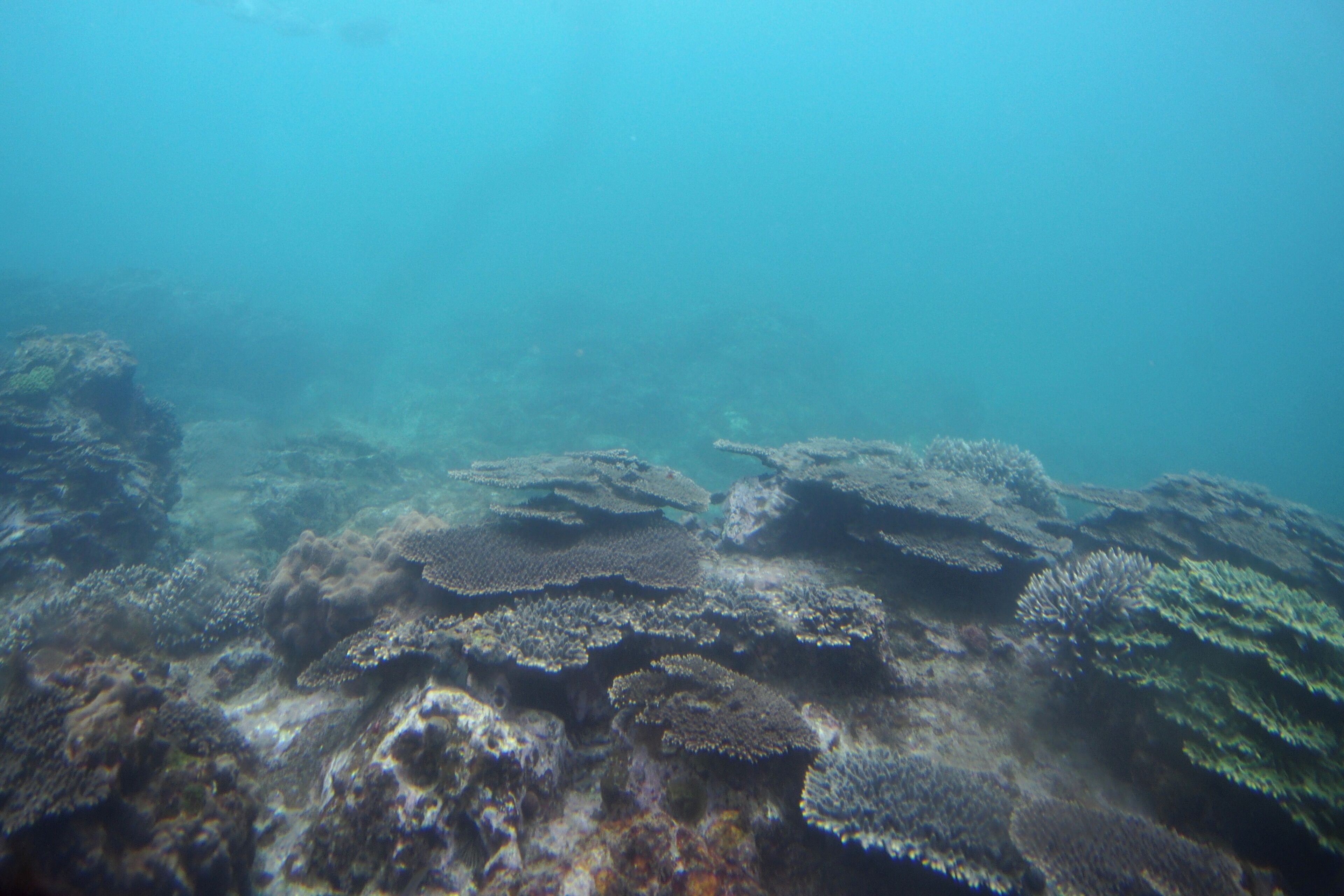 view from under sea room.