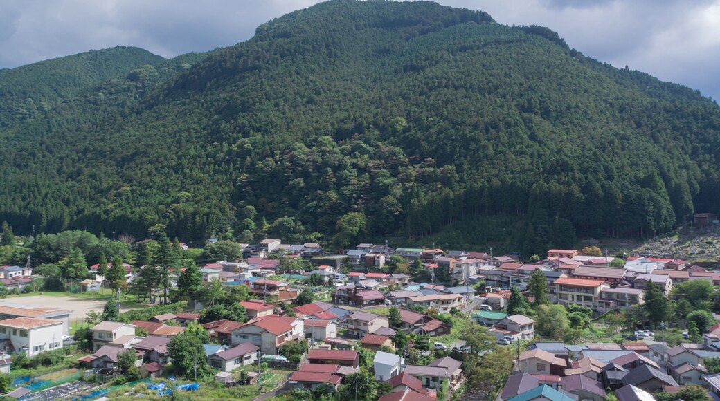 เท็นคาวะ