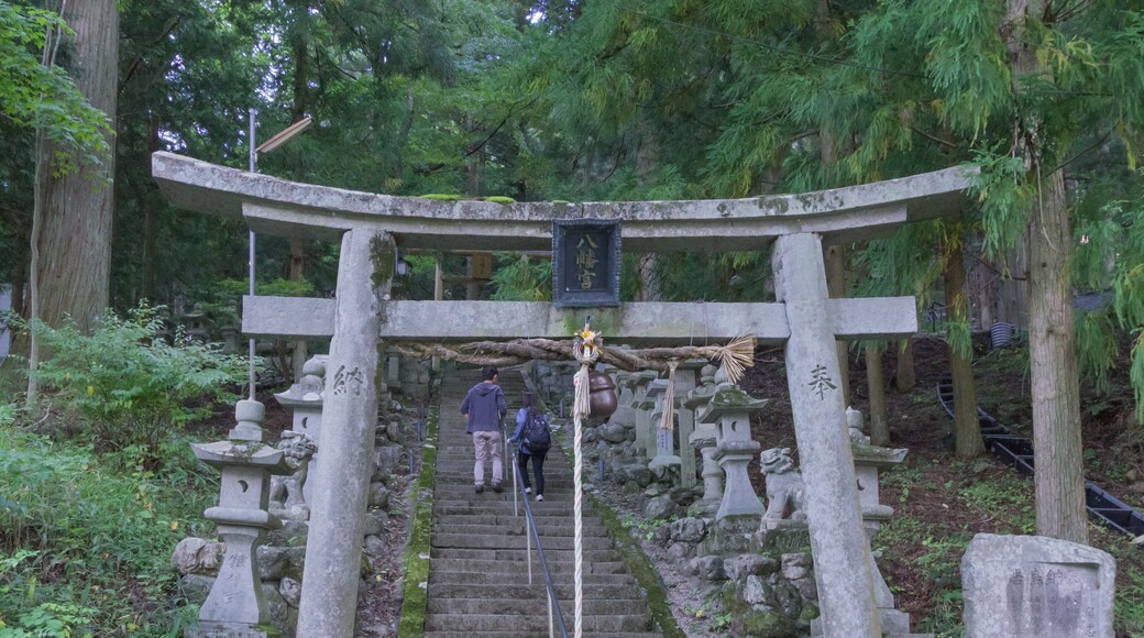 เท็นคาวะ