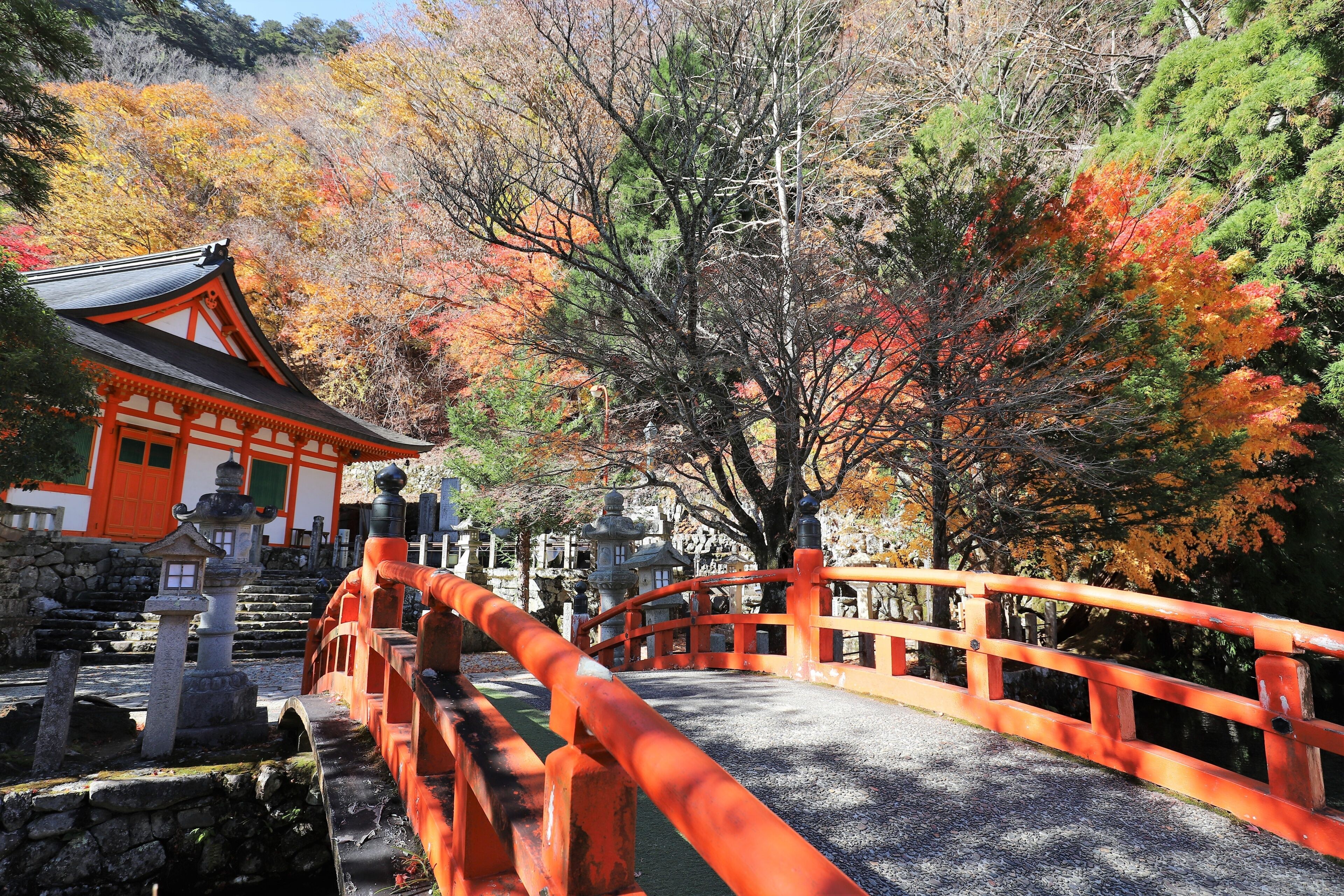 Tenkawa