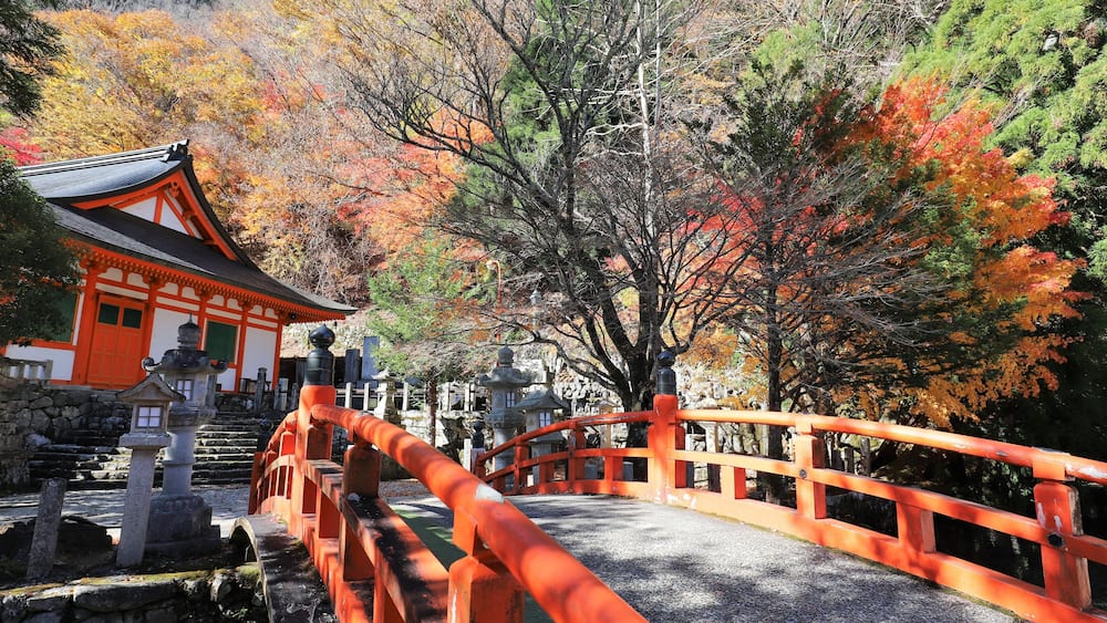 奈良県 天川村龍泉寺の紅葉