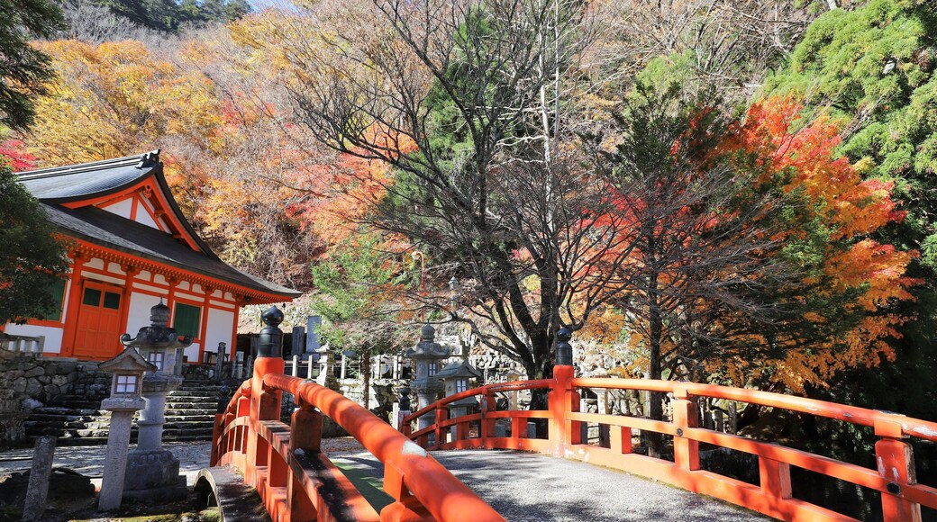 Tenkawa