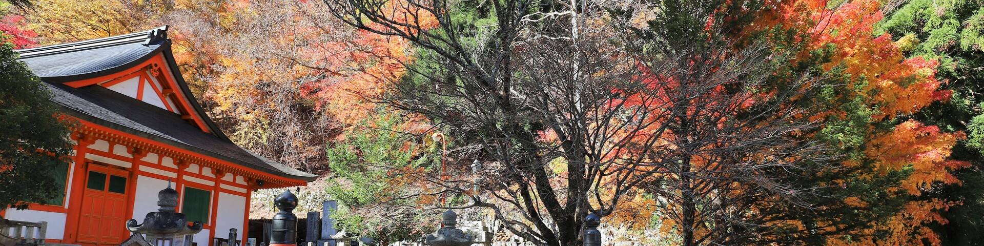 奈良県 天川村龍泉寺の紅葉