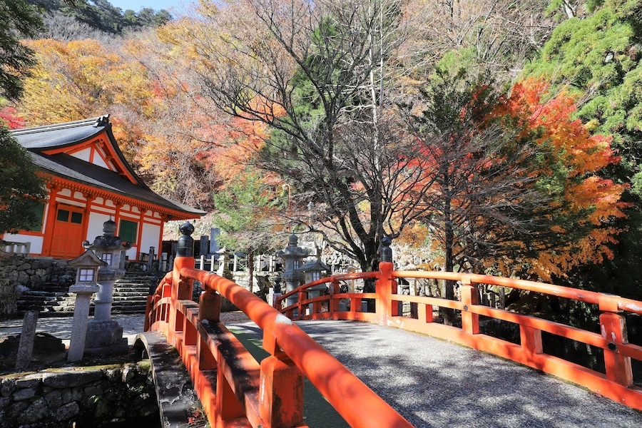 奈良県 天川村龍泉寺の紅葉